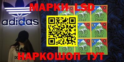 стафф Кинель
