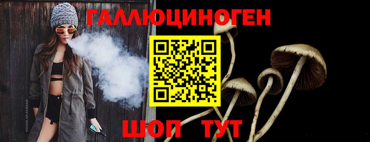 Галлюциногенные грибы мицелий Красноярск